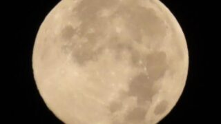 昨日はスーパームーンでした